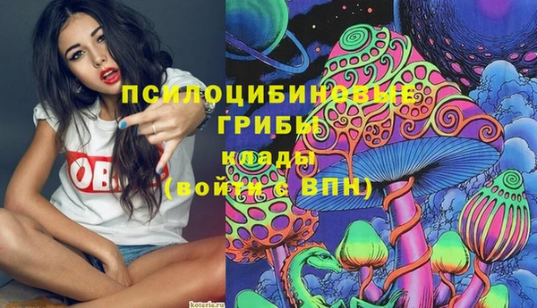 молекула духа Алексеевка